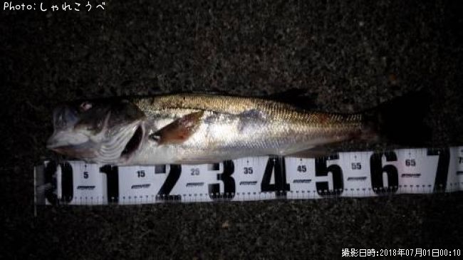 �����Х�