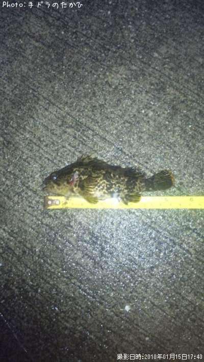 �����Υ���Х�