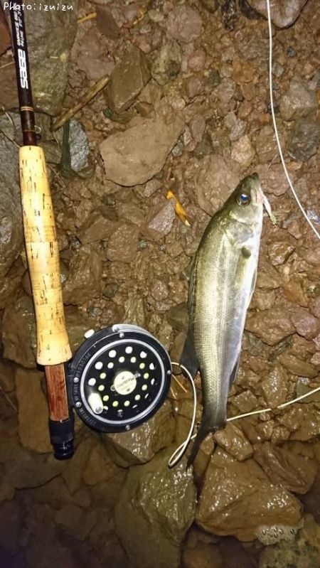 �����Х�