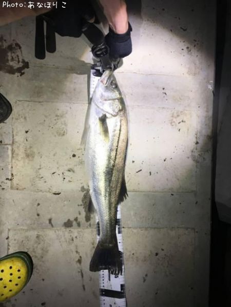 �����Х�