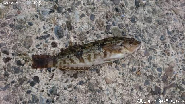 �����ʥ�