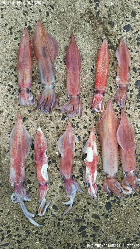 ���󥵥�����