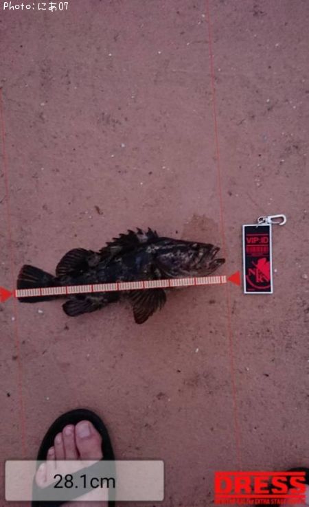 �����Υ���Х�