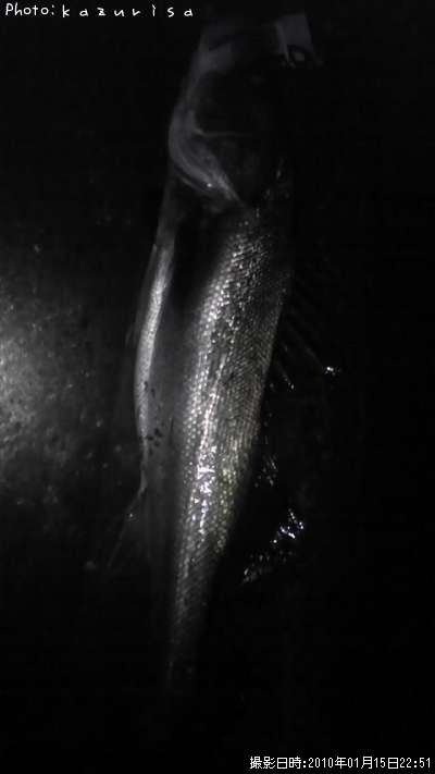 �����Х�