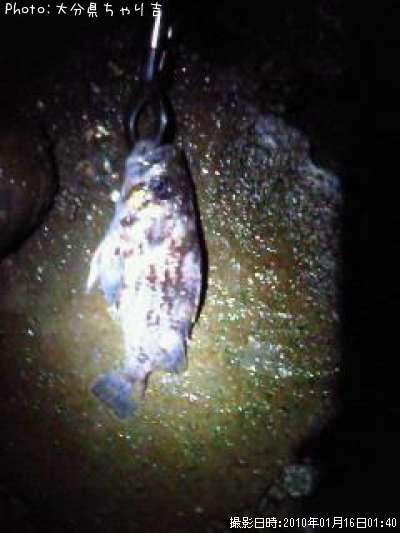 ��������Х롩