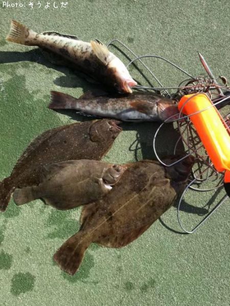 �����ʥ�