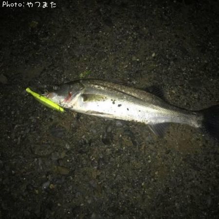 �����Х�