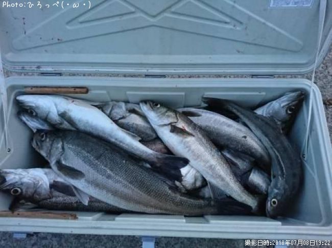 �����Х�