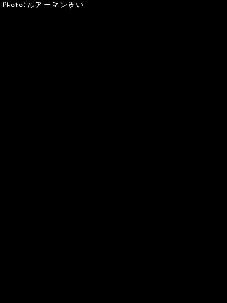 ��Х�