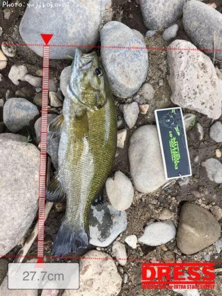 �֥�å��Х�