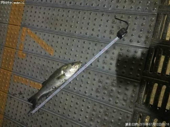 �����Х�