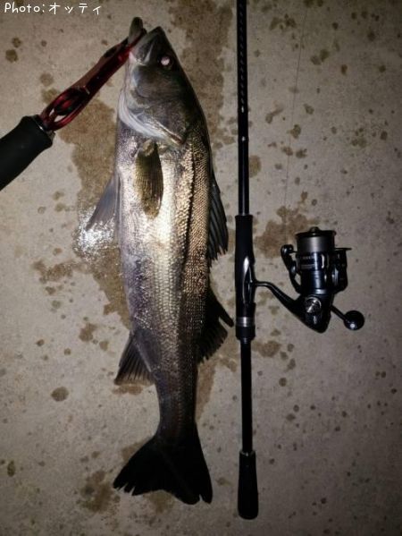 �����Х�