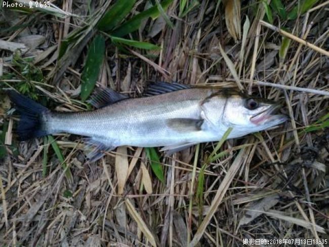 �����Х�