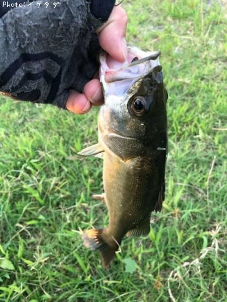 �����Х�