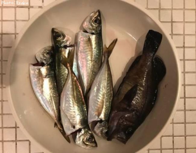 ��������Х�