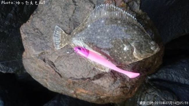 �����Ǥʤ����쥤