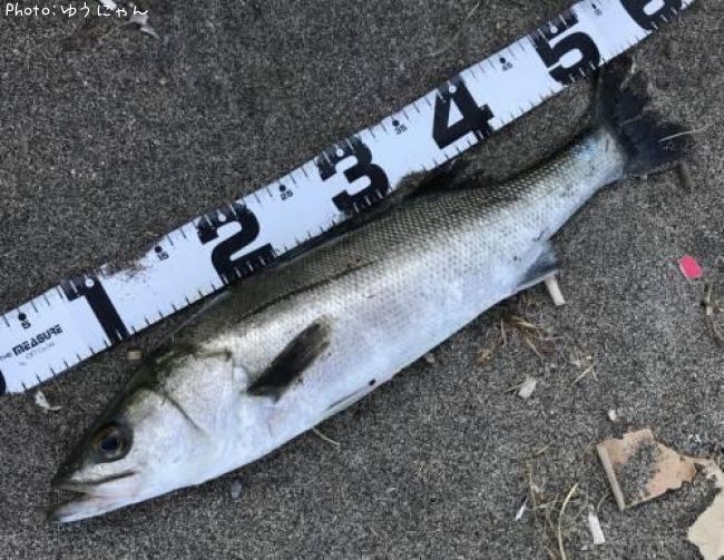 �����Х�