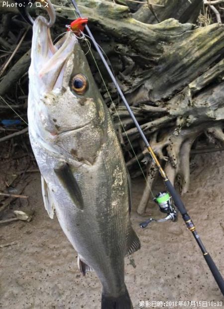 �����Х�