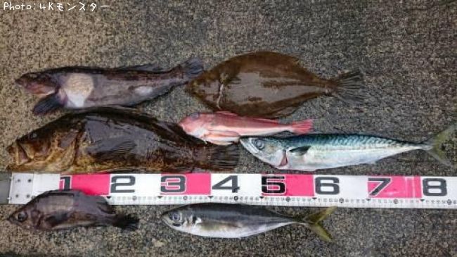 �����Υ���Х�