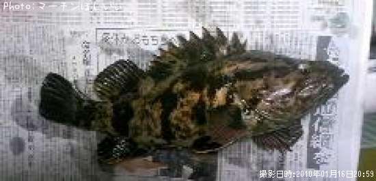 �٥å�������