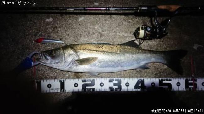 �����Х�