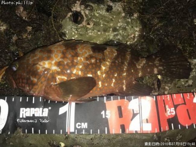 �����ϥ�