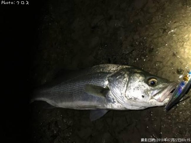 �����Х�