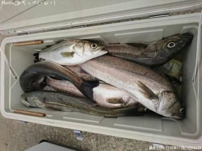 �����Х�