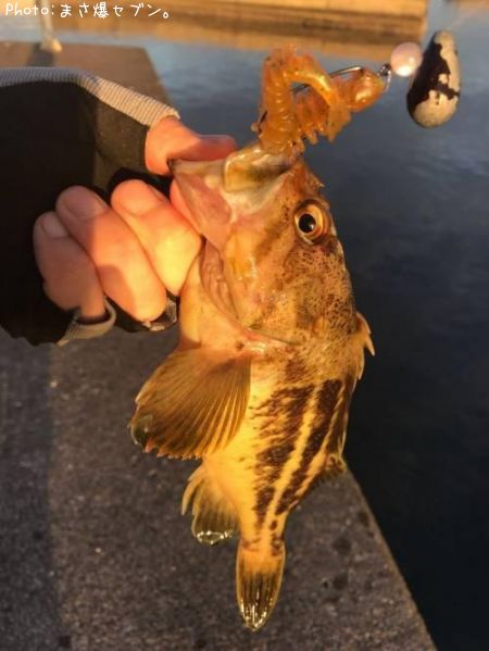 ���ޥ���