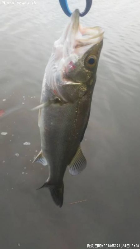 �����Х�