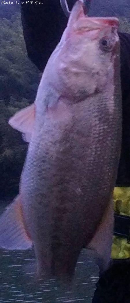 �֥�å��Х�