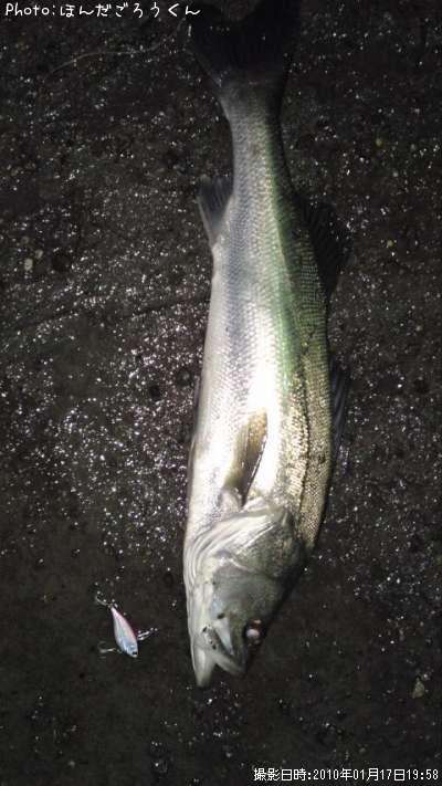 �����Х�