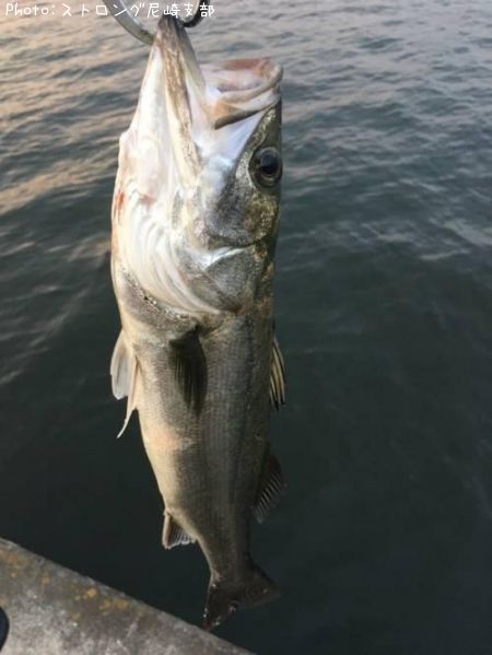 �����Х�