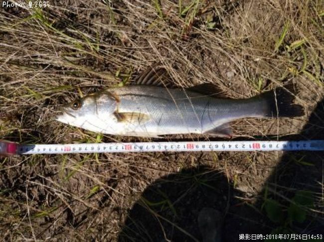 �����Х�