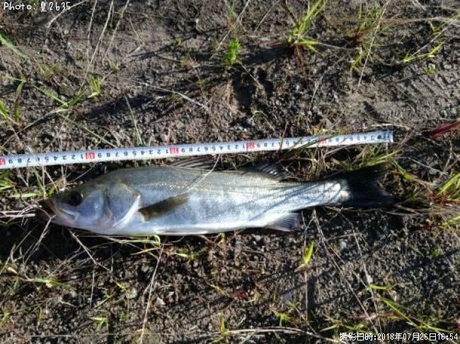 �����Х�