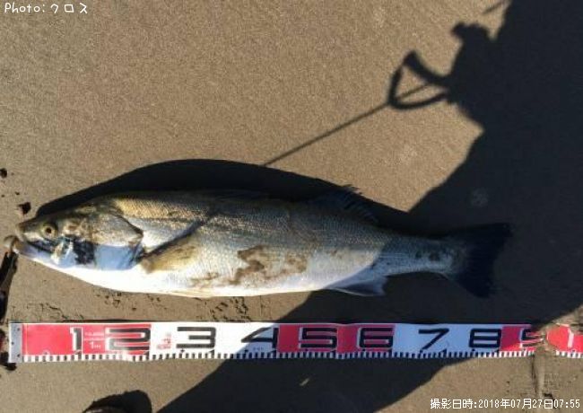 �����Х�