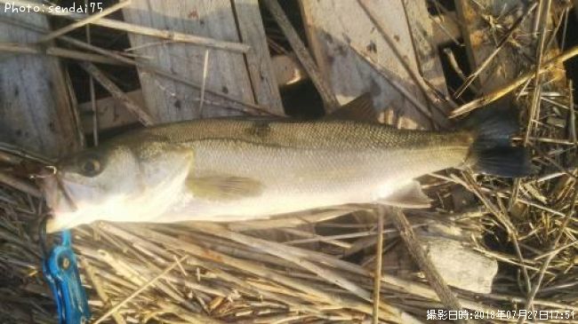 �����Х�