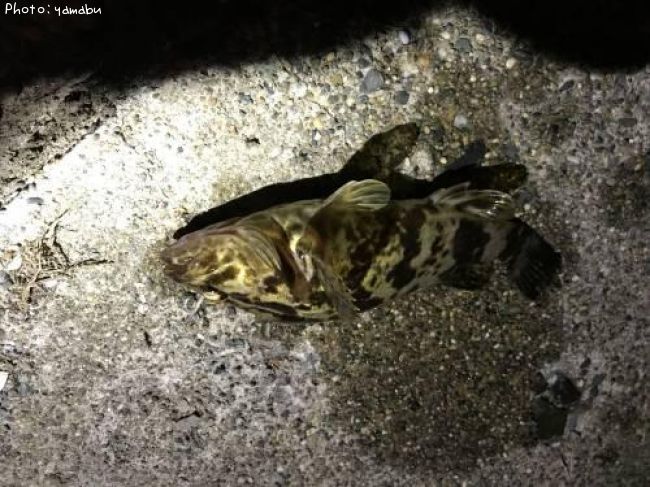 �����Υ���Х�