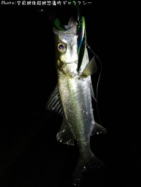 �����Х�