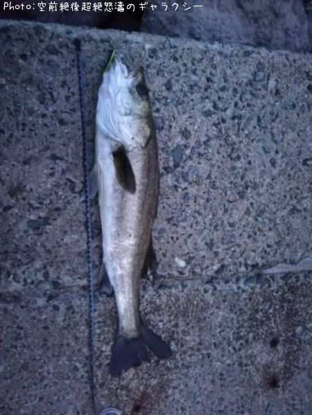 �����Х�