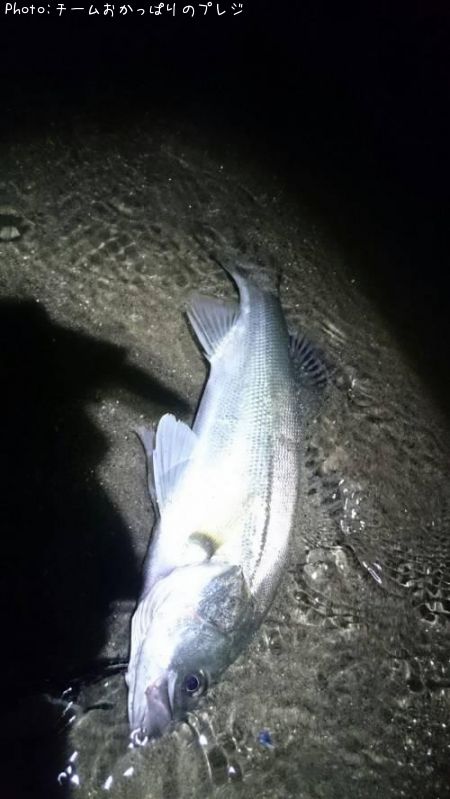 �����Х�