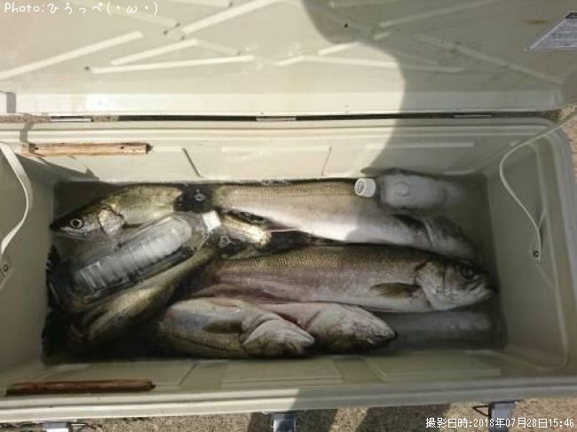 �����Х�