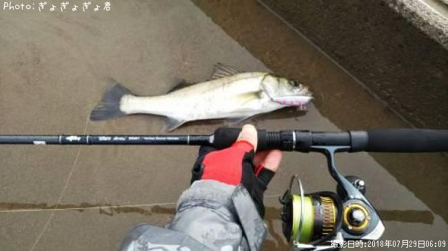 �����Х�