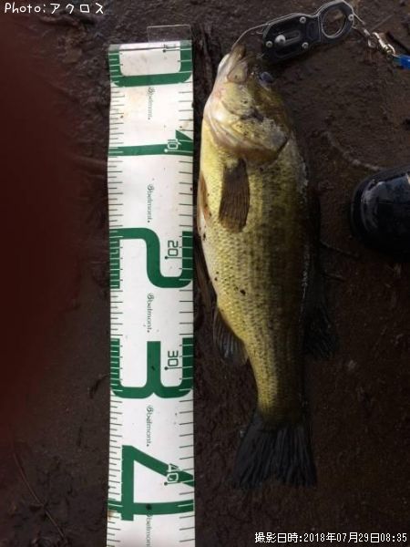 �顼���ޥ����Х�