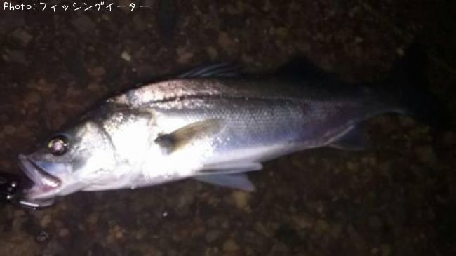 �����Х�