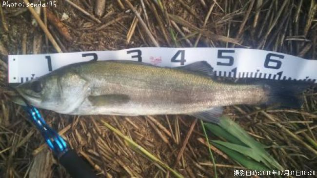 �����Х�