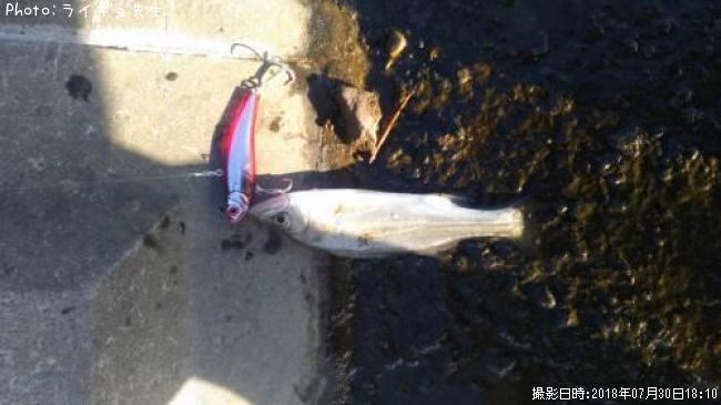 �����Х�