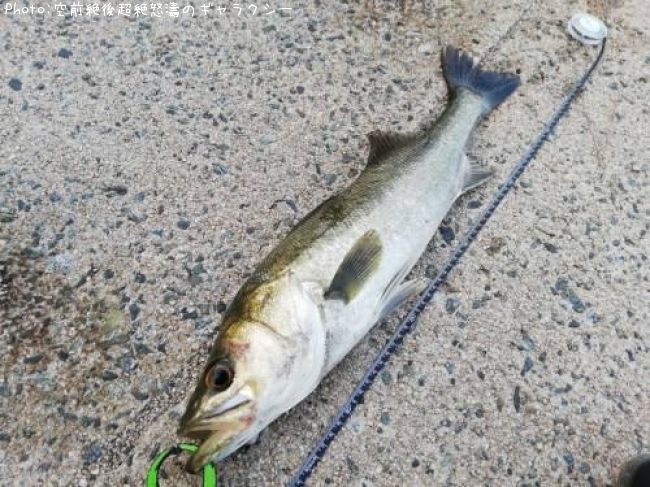 �����Х�