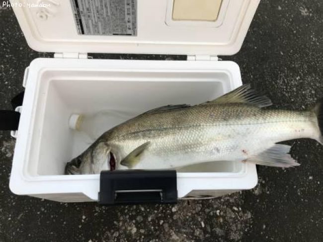 �����Х�