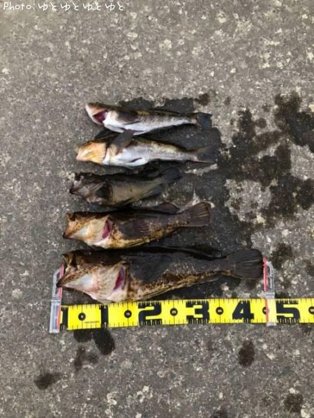 �����Υ���Х�